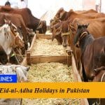 Eid-ul-Adha Holidays in Pakistan