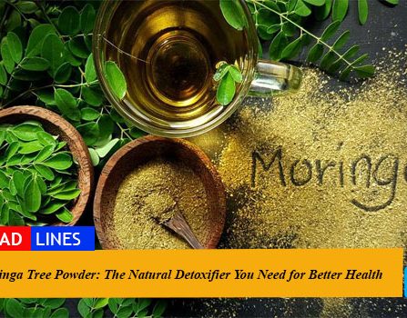 Moringa Tree Powder: The Natural Detoxifier You Need for Better Health